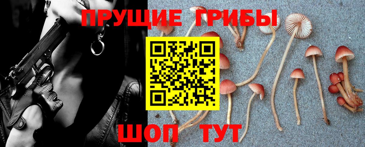 Галлюциногенные грибы Magic Shrooms  Псилоцибиновые грибы Cubensis  Братск 