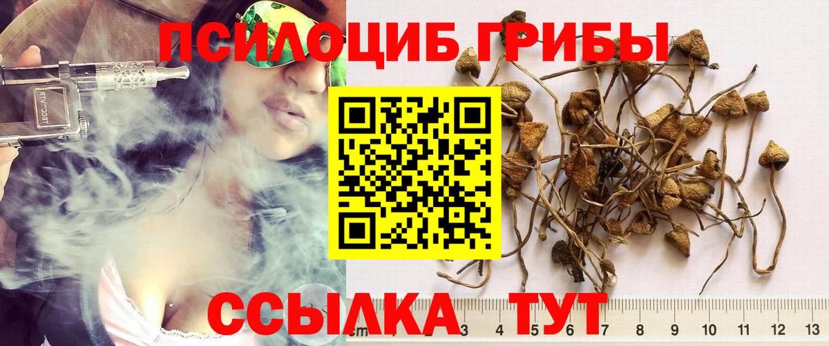 Псилоцибиновые грибы ЛСД  Псилоцибиновые грибы MAGIC MUSHROOMS  Братск  Вход с VPN 